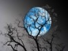 Потрясающие снимки Луны фотографа-любителя поразили весь научный мир